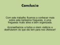 /album/s-claudio-de-barco-/diapositivo41-png/